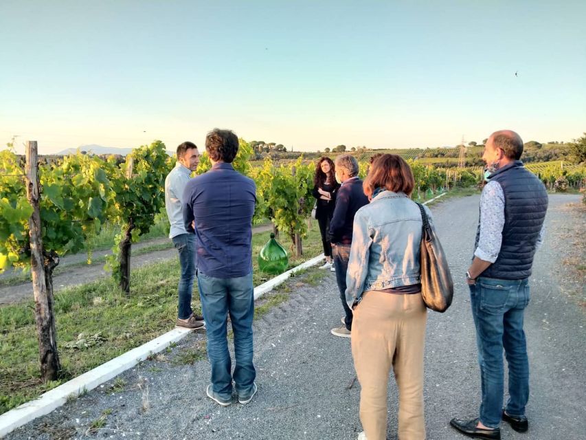 Frascati: 3-Hour Wine and Oil Tasting with Lunch/Dinner - Why Frascati makes a good break from Rome