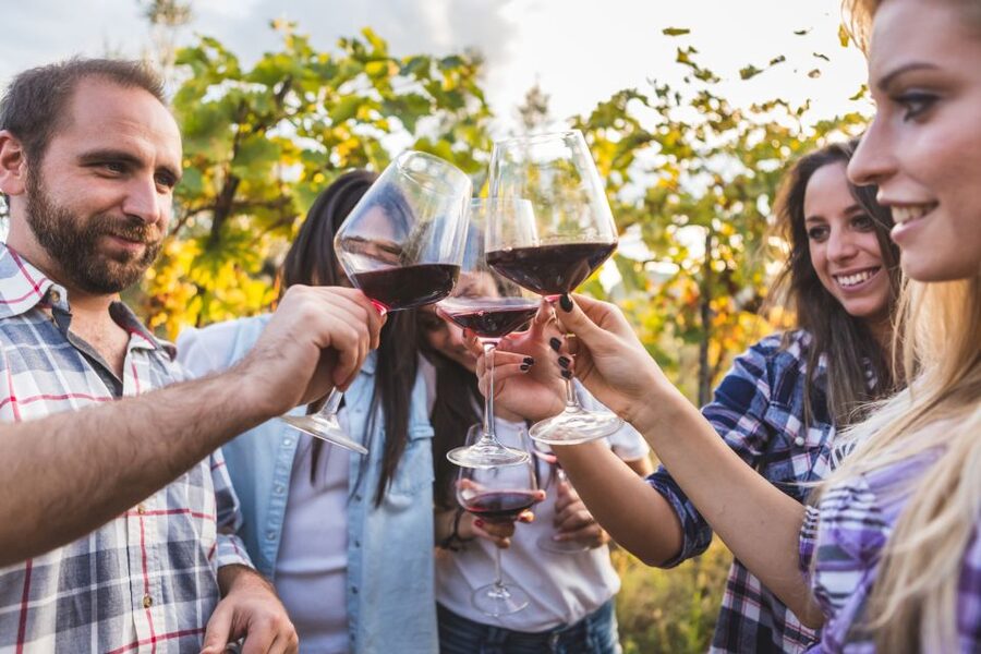 Frascati Private Tour w/ Lunch & Wine Tasting in a Vineyard - Should you book this Frascati tour?