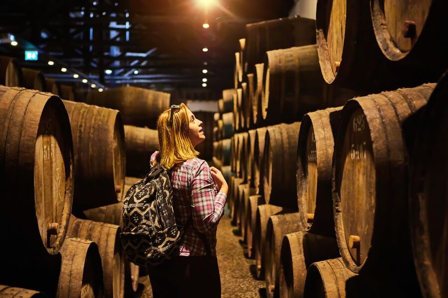 Frascati Private Tour w/ Lunch & Wine Tasting in a Vineyard - Choosing between the Standard and Full Options
