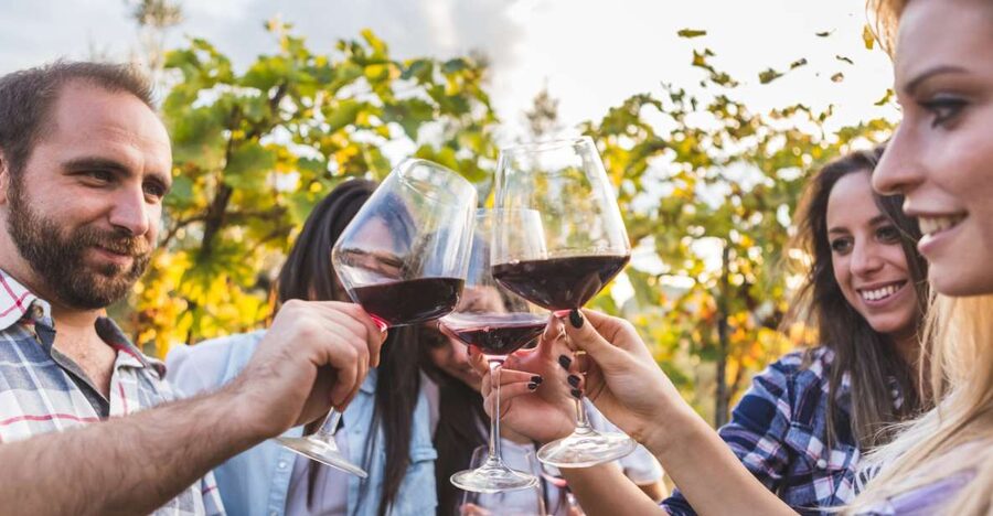 Frascati Private Tour w/ Lunch & Wine Tasting in a Vineyard - Returning to Rome with time well spent