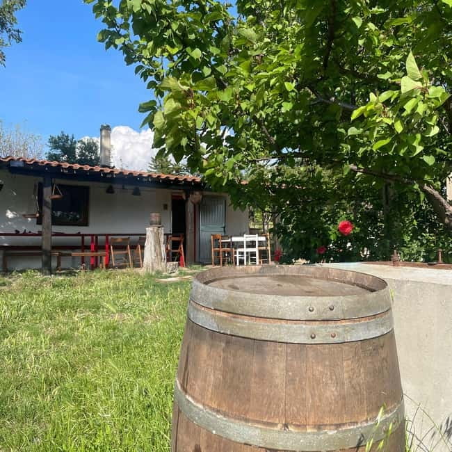 Frascati: Vineyard Wine Tasting Tour with Snacks - Who will enjoy this tour most?
