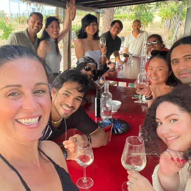 Frascati: Vineyard Wine Tasting Tour with Snacks - Practical tips for a smoother visit
