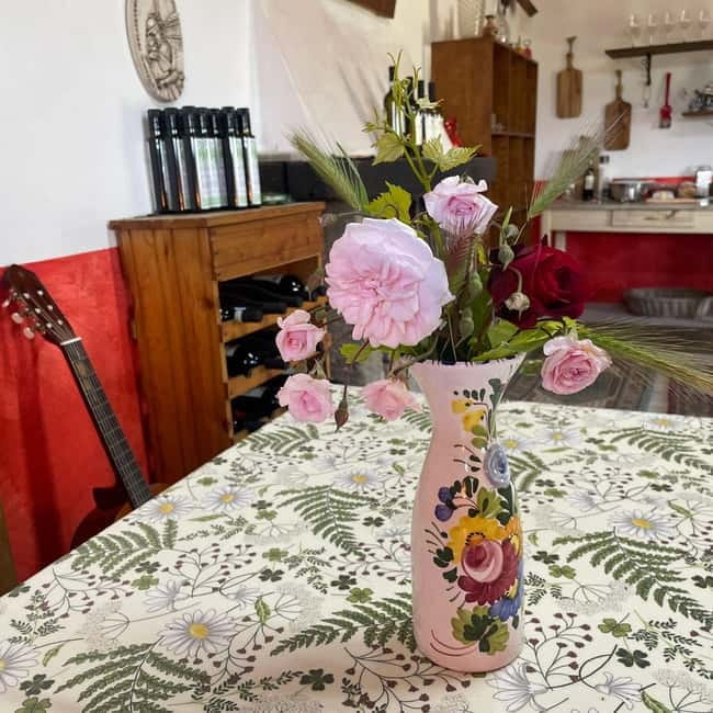 Frascati: Vineyard Wine Tasting Tour with Snacks - A good contrast with Rome’s major sights