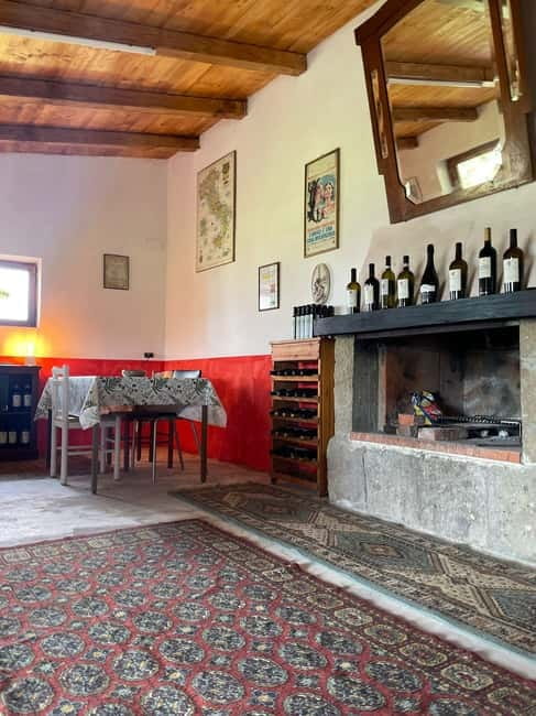 Frascati: Vineyard Wine Tasting Tour with Snacks - Starting with a walk among the vines