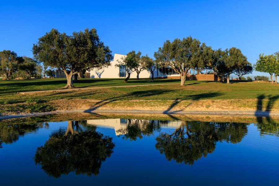 From Albufeira: 4x4 Off-Road Safari & Vineyard Wine Tasting - Practical advice for a smoother afternoon