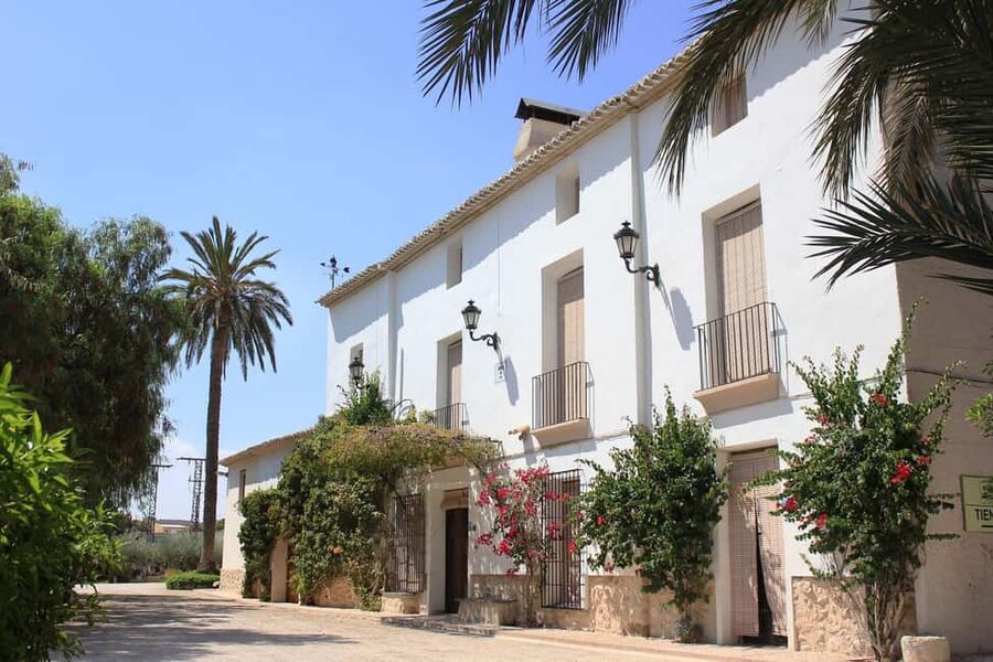 From Alicante and Elche: Guided tour for vineyard and winery with tasting - Practical details before you book