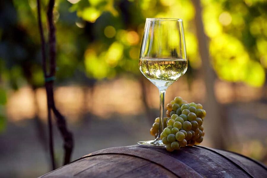 From Alicante and Elche: Guided tour for vineyard and winery with tasting - From Alicante or Elche to the vineyards near Novelda