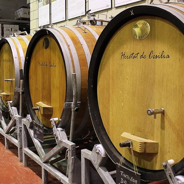 From Alicante and Elche: Guided tour for vineyard and winery with tasting - Production rooms, fermentation, and old methods with new equipment