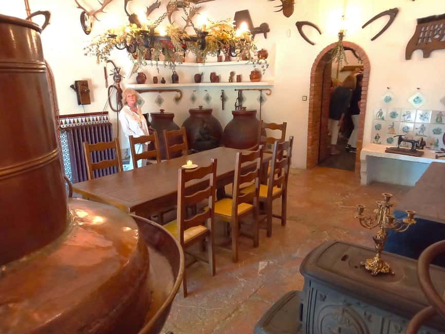 From Alicante and Elche: Guided tour for vineyard and winery with tasting - Who will enjoy this outing most?