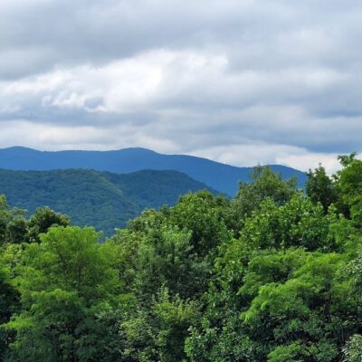From Atlanta: Half-Day or Full-Day Wine Country Tasting Trip