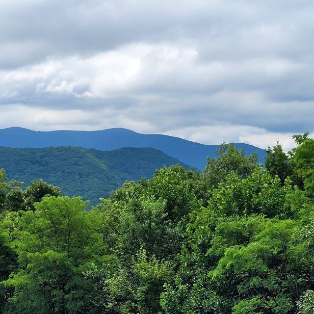 From Atlanta: Half-Day or Full-Day Wine Country Tasting Trip - Choosing between the half-day and full-day option