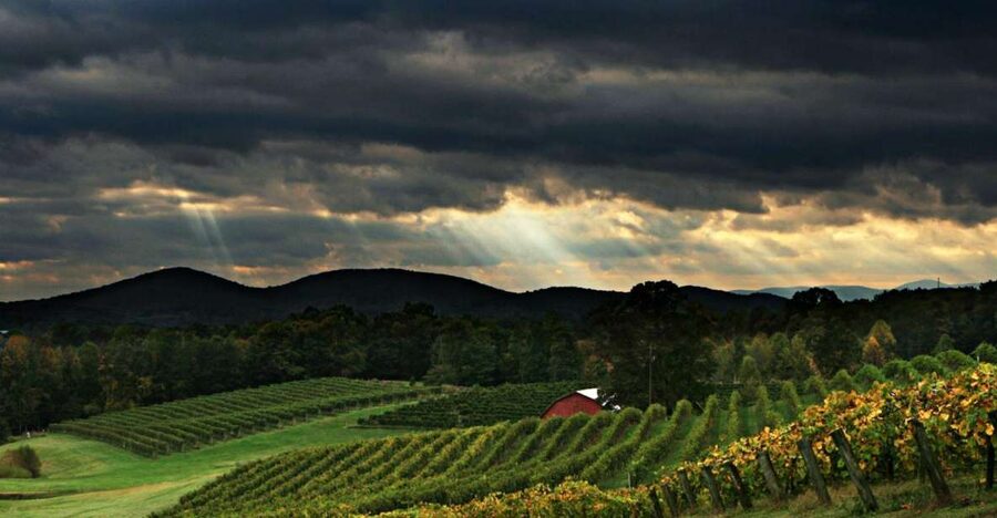 From Atlanta: North Georgia Wine Country Tour - Key points at a glance