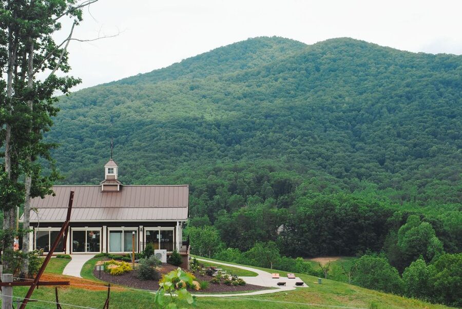 From Atlanta: North Georgia Wine Country Tour - The guide can shape the whole day