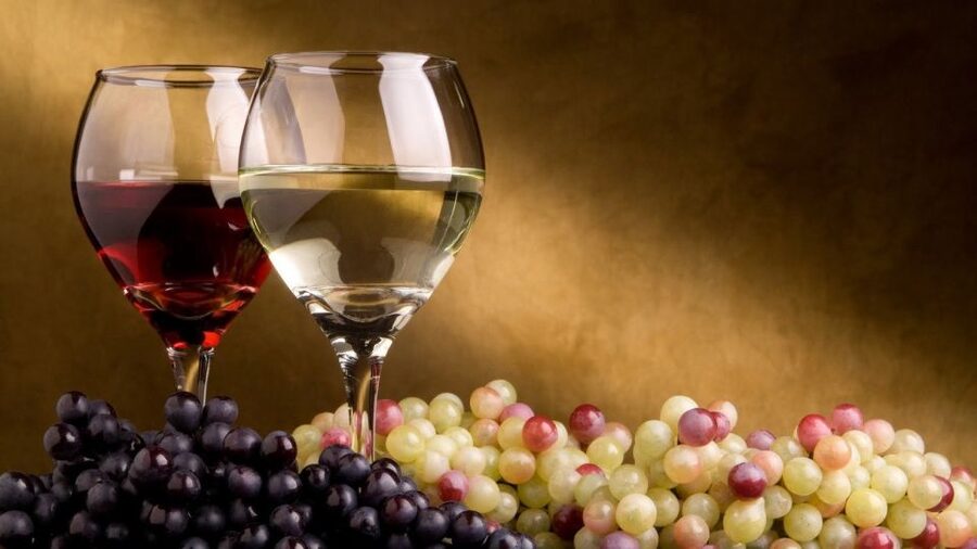 From Atlanta: North Georgia Wine Country Tour - Who should book this day trip?