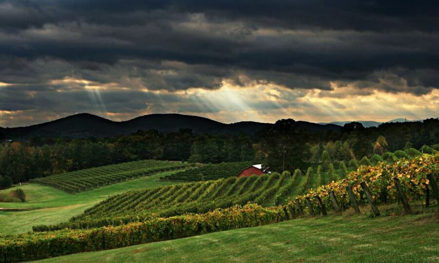 From Atlanta: North Georgia Wine Country Tour - Rolling hills and the road north