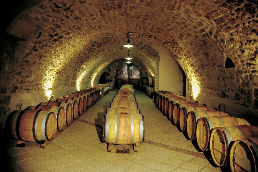From Avignon: Half-Day Great Vineyards Tour - The guides make the half-day work