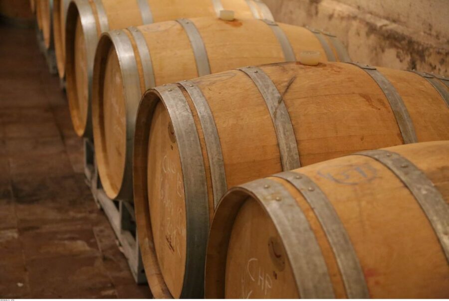 From Avignon: Half-Day Great Vineyards Tour - Is $94 a fair price?