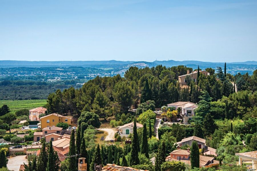 From Avignon: Half-Day Great Vineyards Tour - Who will enjoy this tour most?