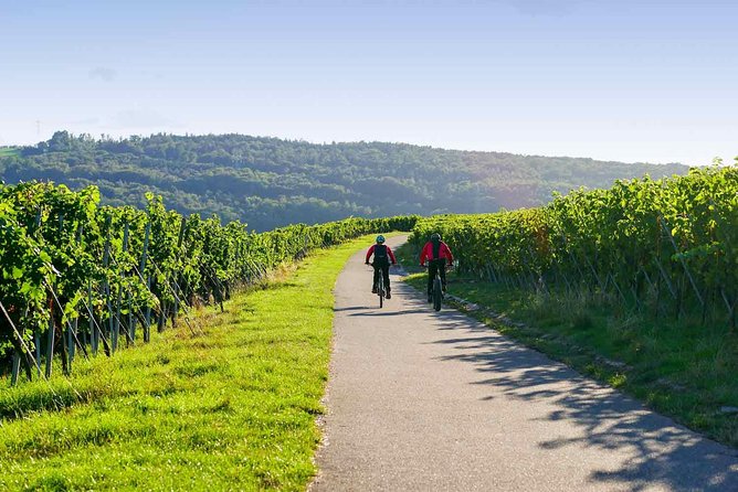 From Barcelona: E-Bike Tour in the vineyards with 2 Wineries - Why leave Barcelona for the Penedès vineyards?