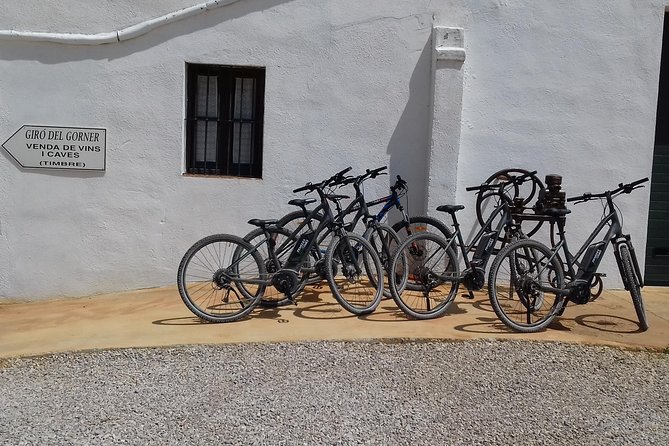 From Barcelona: E-Bike Tour in the vineyards with 2 Wineries - What the price really includes