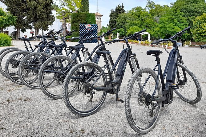 From Barcelona: E-Bike Tour in the vineyards with 2 Wineries - Who should book this experience?