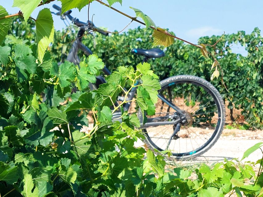 From Barcelona: Penedès E-Bike Tour with 2 Winery Visits - Key points at a glance