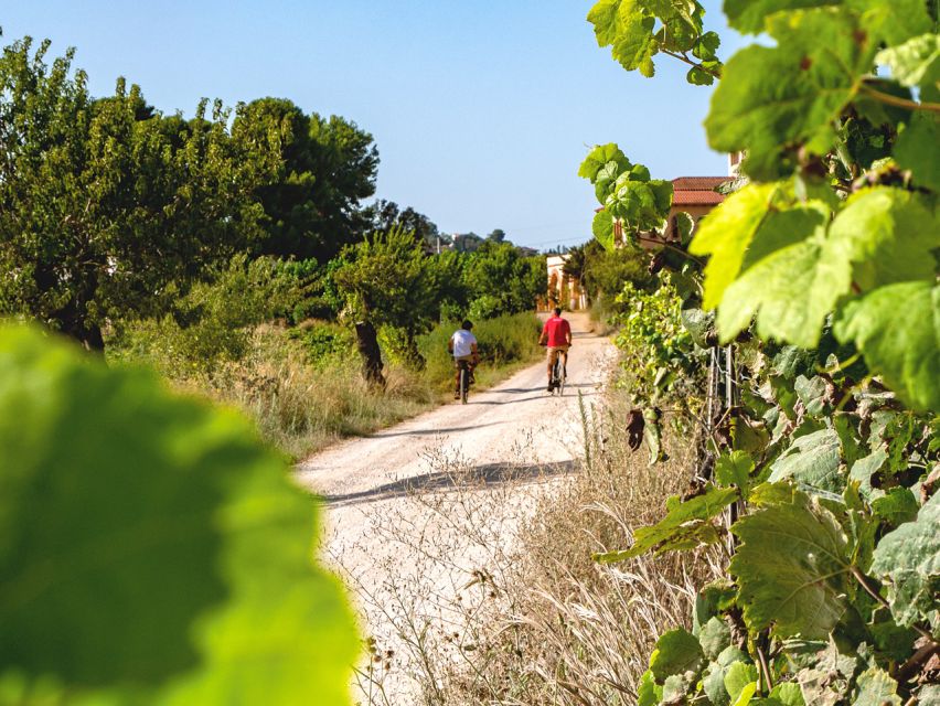 From Barcelona: Penedès E-Bike Tour with 2 Winery Visits - Picking up your Scott bike or e-bike