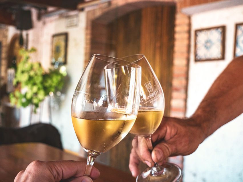 From Barcelona: Penedès E-Bike Tour with 2 Winery Visits - Pedaling beneath Montserrat