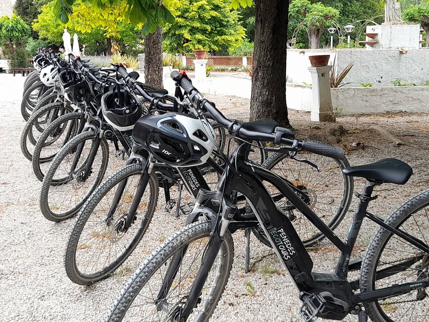 From Barcelona: Penedès E-Bike Tour with 2 Winery Visits - Is $94 a fair price?