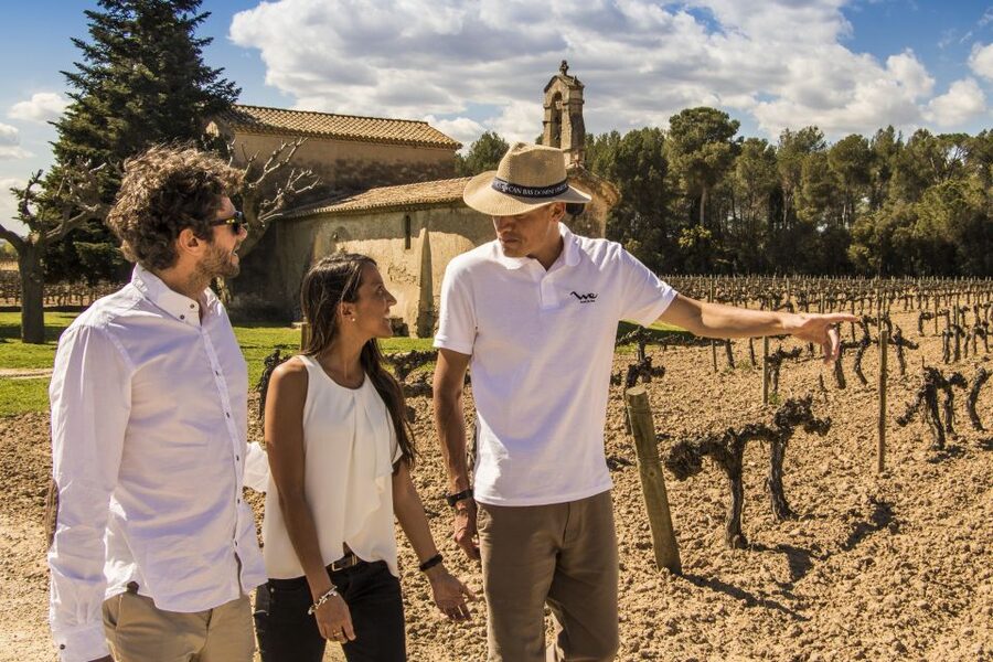 From Barcelona: Penedés Vineyards Tour by 4WD w/Wine & Cava - Food pairings and how much you actually eat