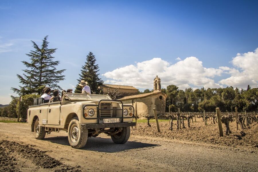 From Barcelona: Penedés Vineyards Tour by 4WD w/Wine & Cava - Who will enjoy this tour most?