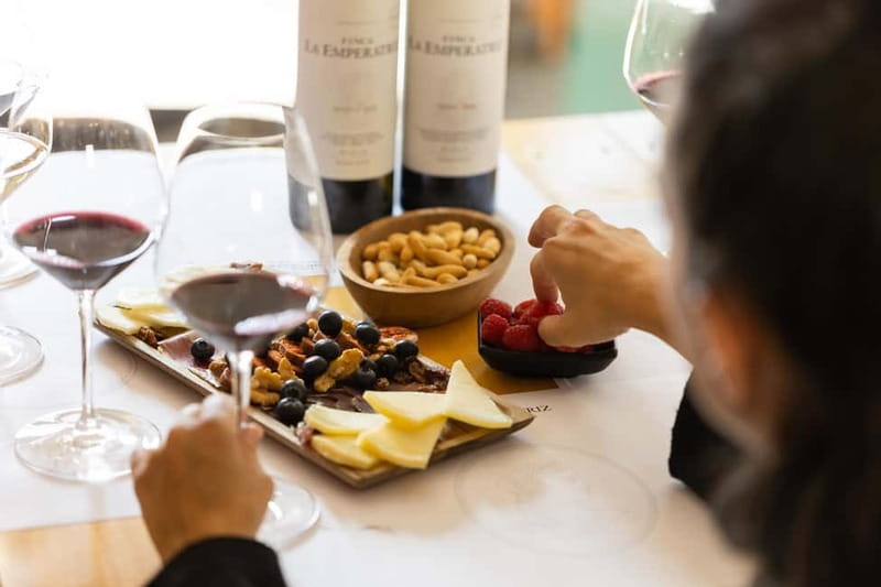 From Bilbao: La Rioja a journey to the vineyards & tradition - The day in five useful points