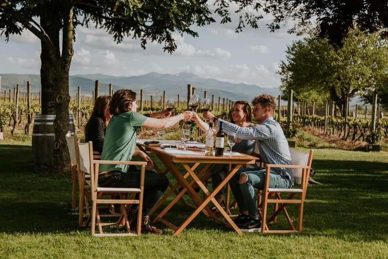 From Bilbao: La Rioja a journey to the vineyards & tradition - Beneath the village: traditional winemaking