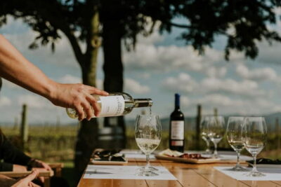 La Rioja a journey to the vineyards & tradition