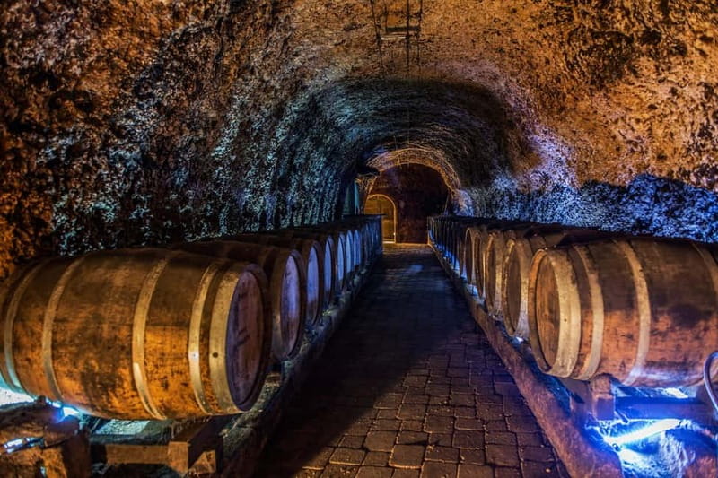From Bilbao: La Rioja a journey to the vineyards & tradition - Guide quality and group feel