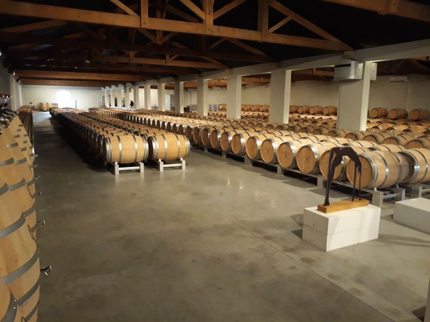 From Bordeaux: Médoc Vineyard and Chateau Tour by Sidecar - What the $235 price includes