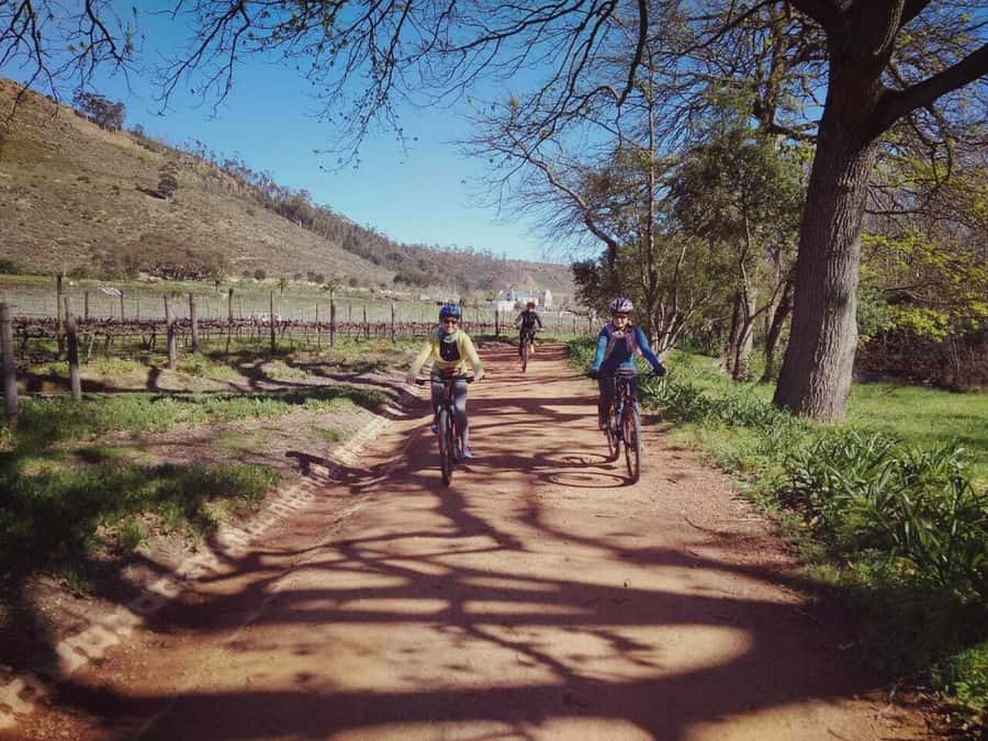 From Cape Town: Franschhoek Vineyards Bike Tour with Lunch - Why Franschhoek works so well by bike