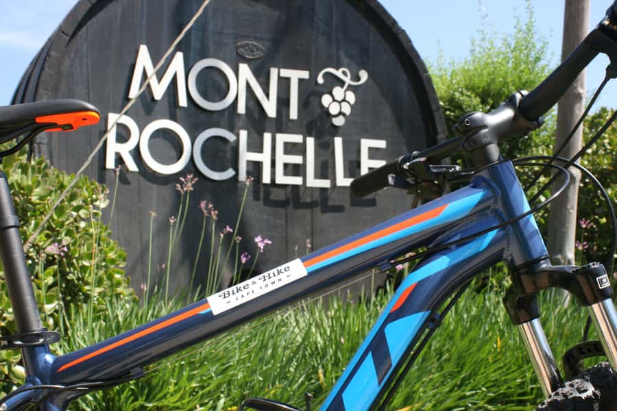 From Cape Town: Franschhoek Vineyards Bike Tour with Lunch - Who should choose this Franschhoek tour?