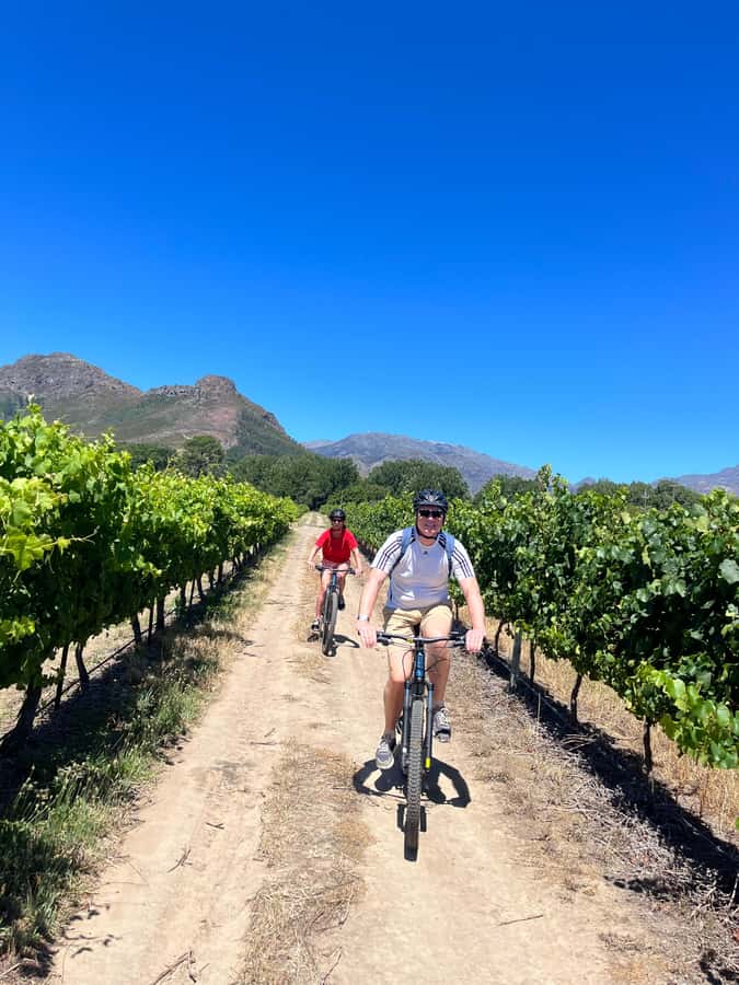 From Cape Town: Franschhoek Vineyards Bike Tour with Lunch - The Huguenot story behind the vineyards