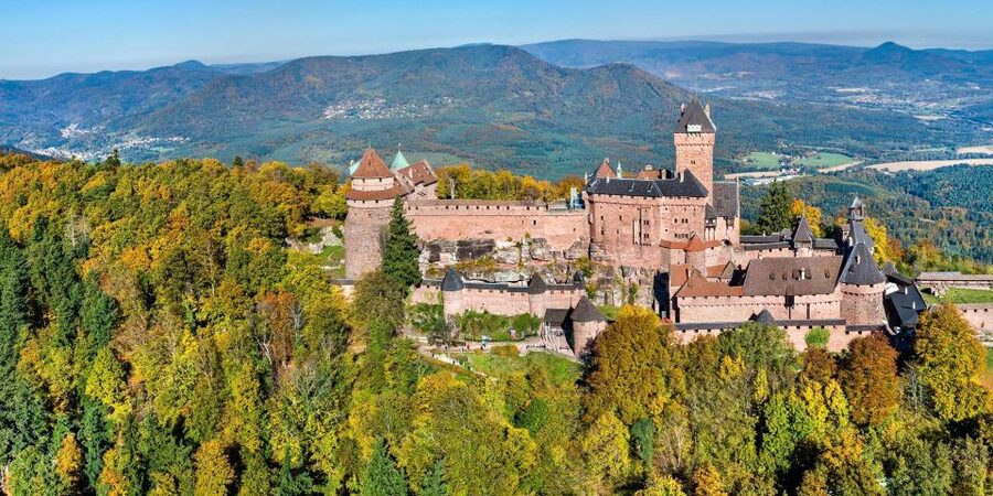 From Colmar: Alsace wine route tour Full Day - Wine tasting is possible, but not included