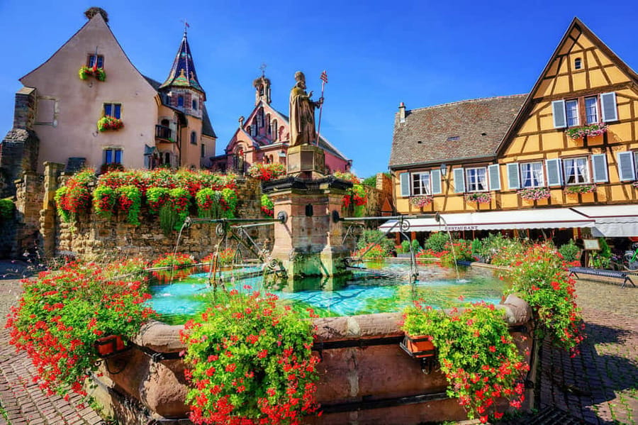 From Colmar: Alsace wine route tour Half Day - Key points to know before booking