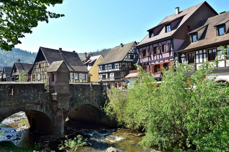 From Colmar: Alsace wine route tour Half Day - Who gets the best value from this outing