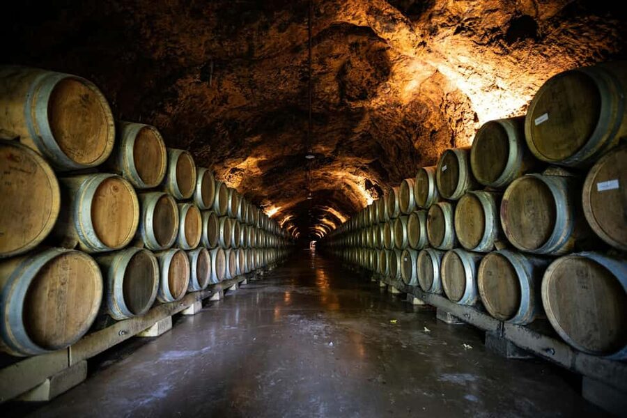 From Dijon: Côte de Nuits & Côte de Beaune Vineyards Tour - The first tasting in the Côte de Nuits