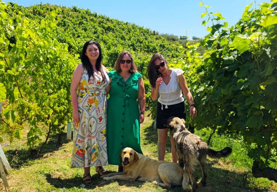 From Durrës: Albanian Wine Tasting with Vineyard & Boat Tour - Starting with raki, brandy, and Albanian bites