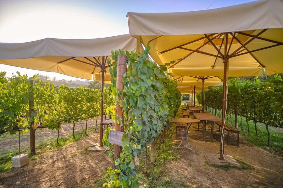 From Florence: Wine Tasting and Dinner in Chianti Vineyards - Leaving Florence for Chianti