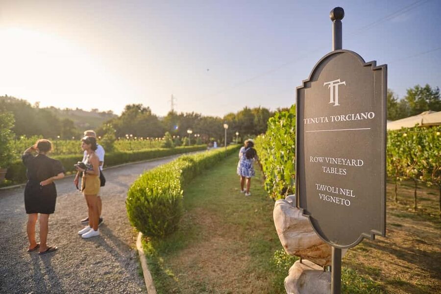 From Florence: Wine Tasting and Dinner in Chianti Vineyards - A pause in Greve in Chianti