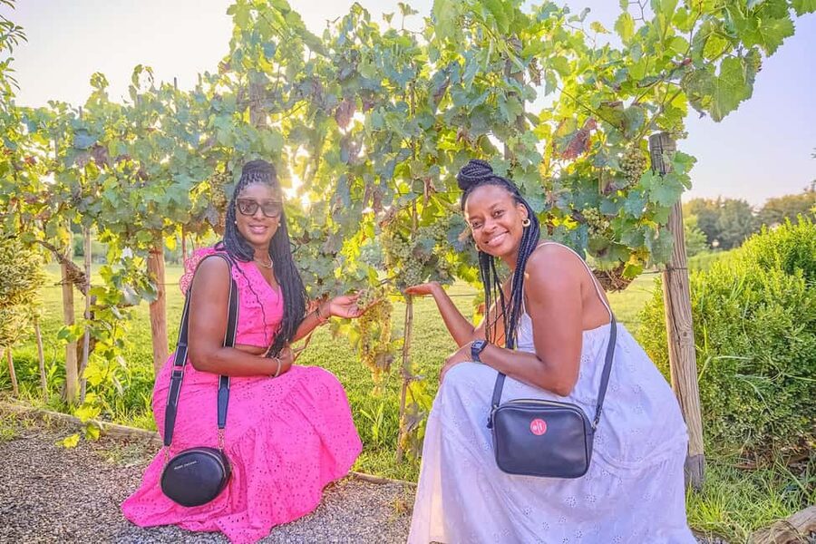 From Florence: Wine Tasting and Dinner in Chianti Vineyards - The second estate: a dinner built around wine