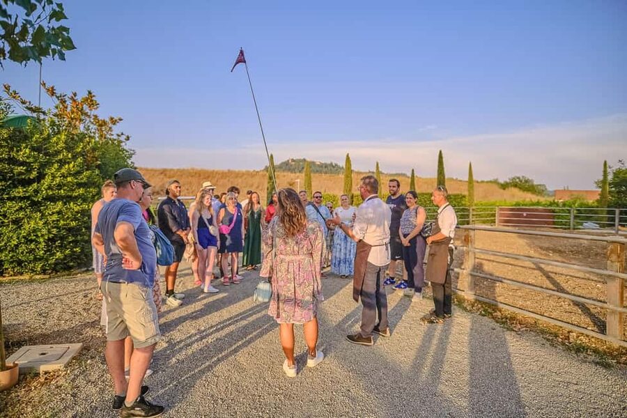 From Florence: Wine Tasting and Dinner in Chianti Vineyards - Should you book this Chianti tour?