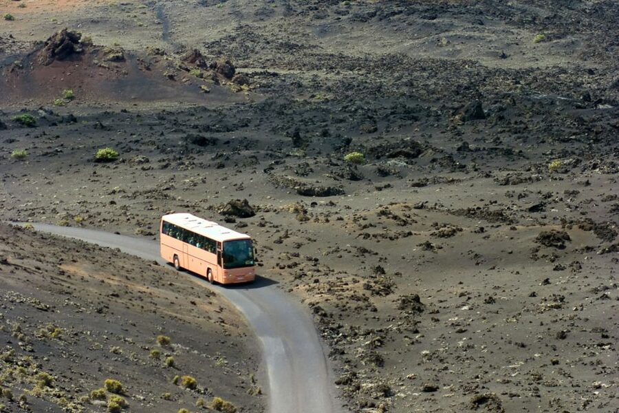From Fuerteventura: Lanzarote Volcano and Wine Region Tour - Should you book this Lanzarote day trip?