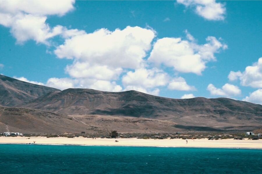 From Fuerteventura: Lanzarote Volcano and Wine Region Tour - Timanfaya National Park: the strongest part of the day